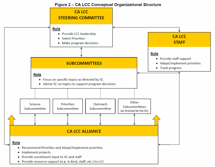 CA LCC Conceptual Organizational Structure Figure 2, Organization is comprised of the Steering Committee, Subcommittee, Staff and Alliance