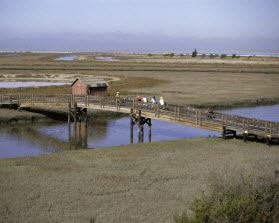 A wooden bridge spanning a river in a salt marsh
