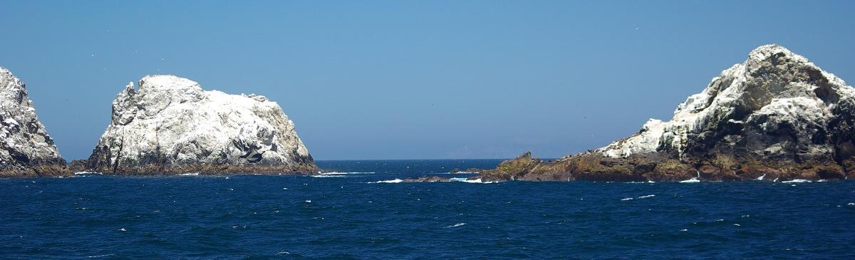 Farallon Islands