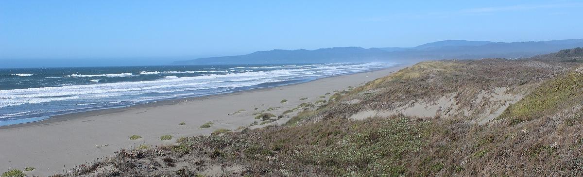 Coastal Dunes