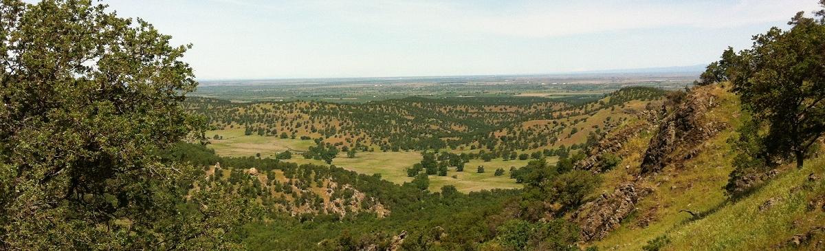 Overlooking the Central Valley from Sutter Buttes